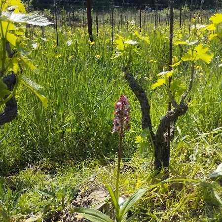 Alloggio per agriturismo Pian Di Meta Vecchia *