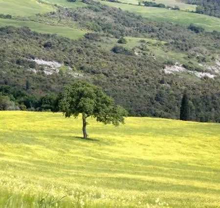 Pian Di Meta Vecchia Farma Castiglione dʼOrcia