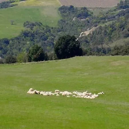 Pian Di Meta Vecchia Alloggio per agriturismo Castiglione dʼOrcia