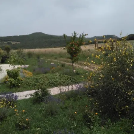 Pian Di Meta Vecchia Castiglione dʼOrcia